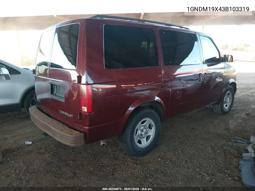 2003 Chevrolet Astro VIN: 1GNDM19X43B103319 Lot: 45254973