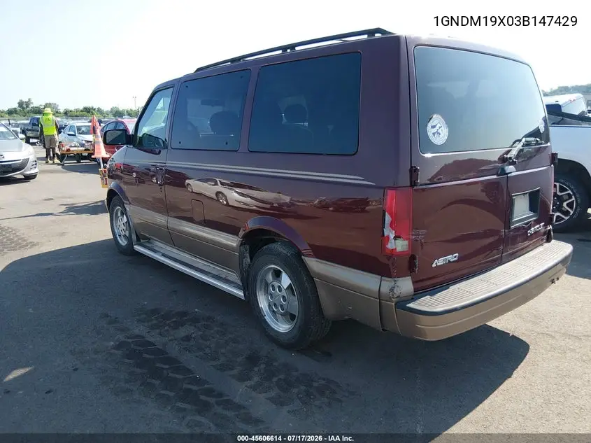 2003 Chevrolet Astro Passenger VIN: 1GNDM19X03B147429 Lot: 45606614
