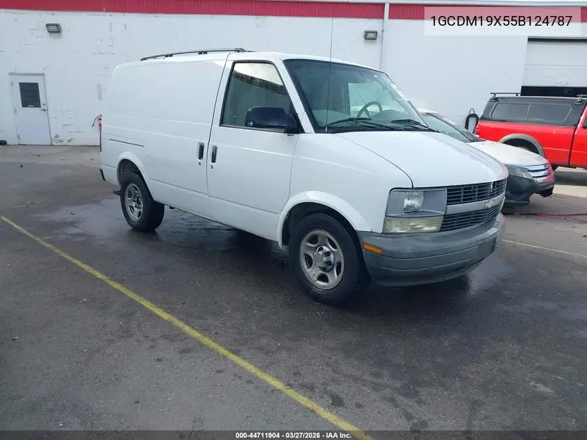 2005 Chevrolet Astro VIN: 1GCDM19X55B124787 Lot: 44711904