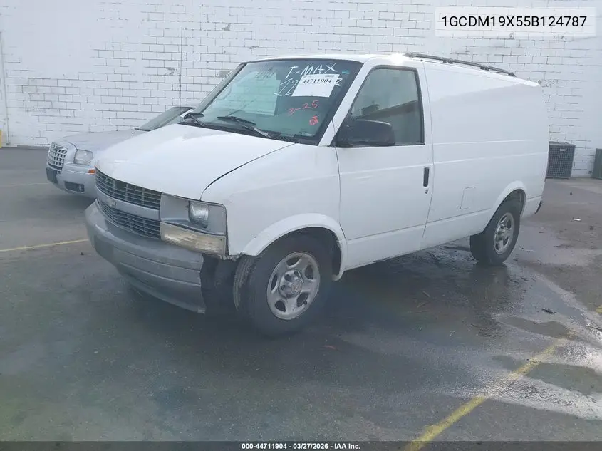 2005 Chevrolet Astro VIN: 1GCDM19X55B124787 Lot: 44711904