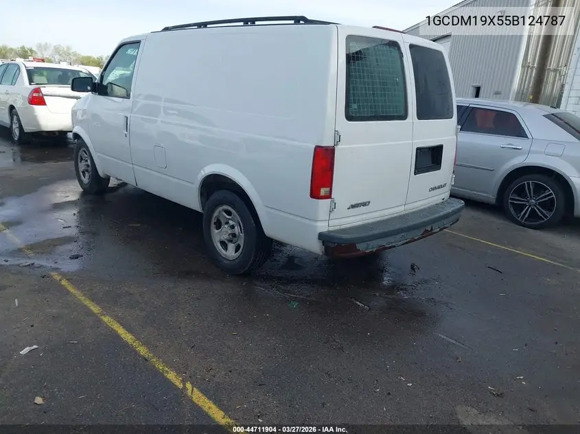 2005 Chevrolet Astro VIN: 1GCDM19X55B124787 Lot: 44711904