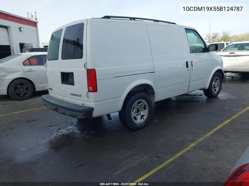 2005 Chevrolet Astro VIN: 1GCDM19X55B124787 Lot: 44711904