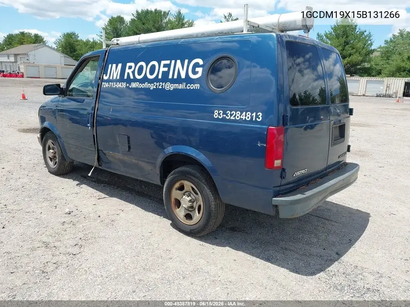 2005 Chevrolet Astro VIN: 1GCDM19X15B131266 Lot: 45387819