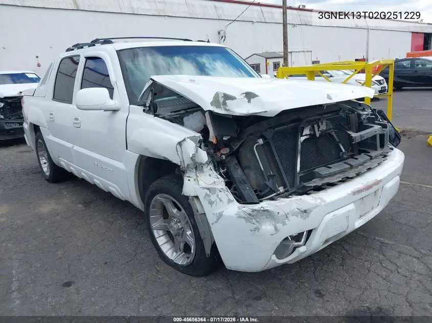 2002 Chevrolet Avalanche 1500 VIN: 3GNEK13T02G251229 Lot: 45656364