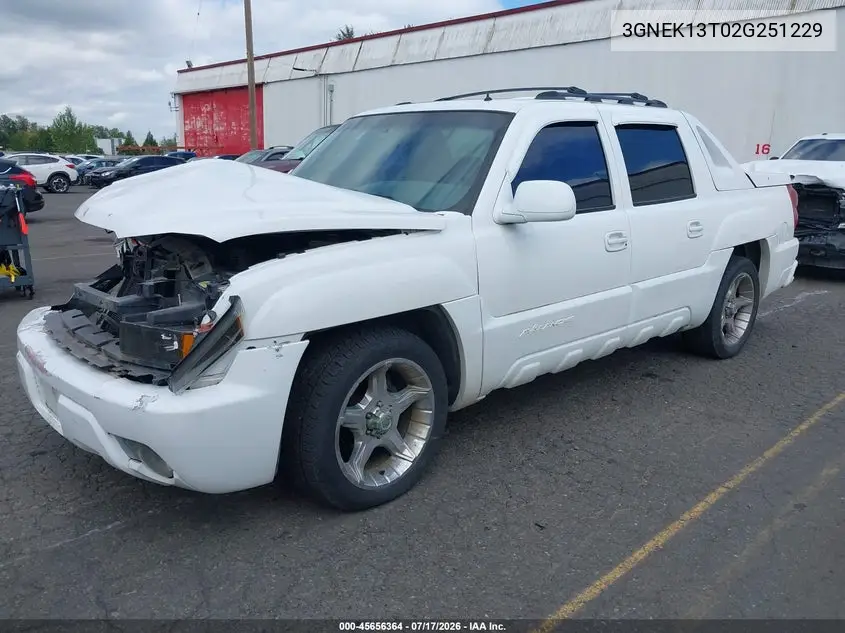 2002 Chevrolet Avalanche 1500 VIN: 3GNEK13T02G251229 Lot: 45656364