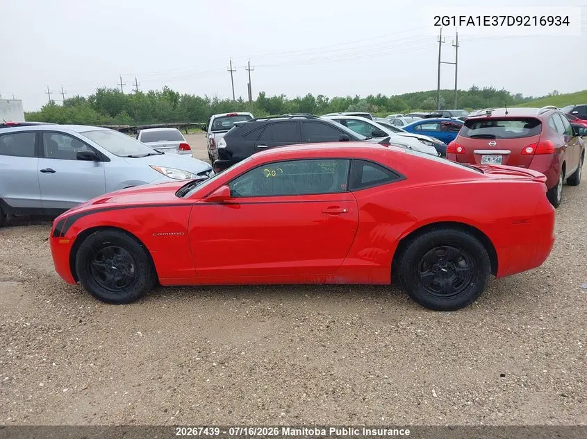2013 Chevrolet Camaro Ls VIN: 2G1FA1E37D9216934 Lot: 20267439