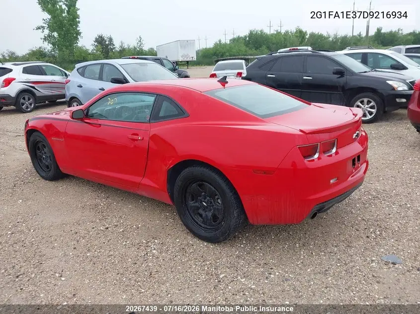 2013 Chevrolet Camaro Ls VIN: 2G1FA1E37D9216934 Lot: 20267439