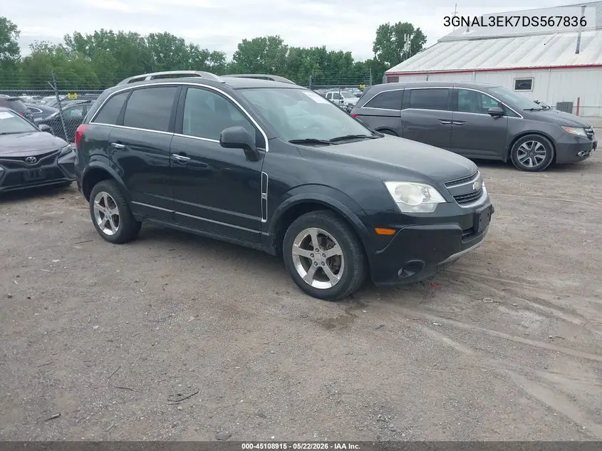 2013 Chevrolet Captiva Sport Lt VIN: 3GNAL3EK7DS567836 Lot: 45108915