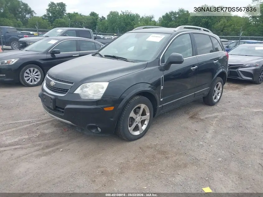 2013 Chevrolet Captiva Sport Lt VIN: 3GNAL3EK7DS567836 Lot: 45108915