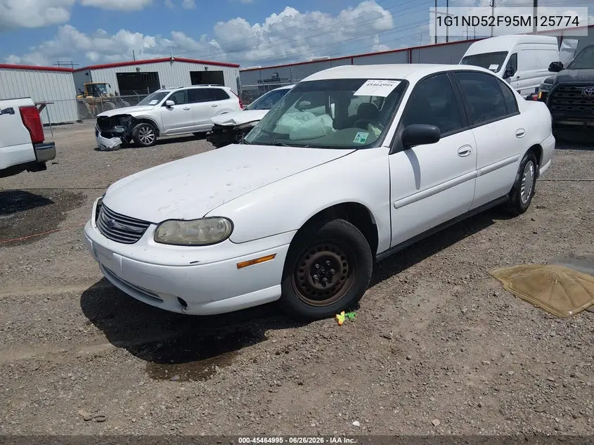 2005 Chevrolet Classic VIN: 1G1ND52F95M125774 Lot: 45464995