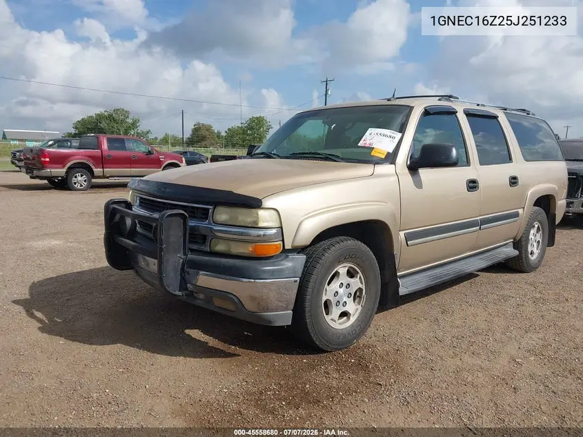 2005 Chevrolet Suburban 1500 Ls VIN: 1GNEC16Z25J251233 Lot: 45558680