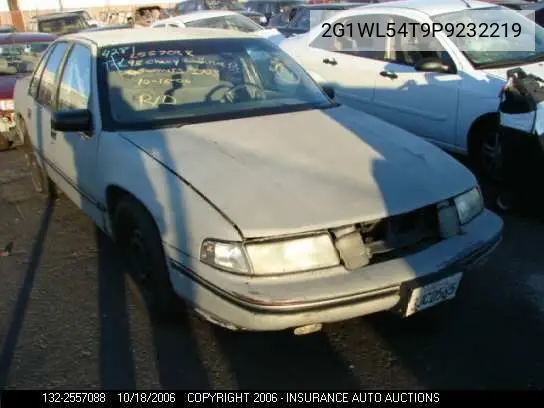 1993 Chevrolet Lumina VIN: 2G1WL54T9P9232219 Lot: 2557088