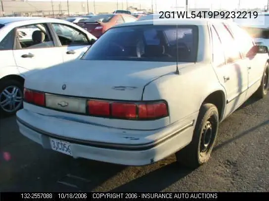 1993 Chevrolet Lumina VIN: 2G1WL54T9P9232219 Lot: 2557088