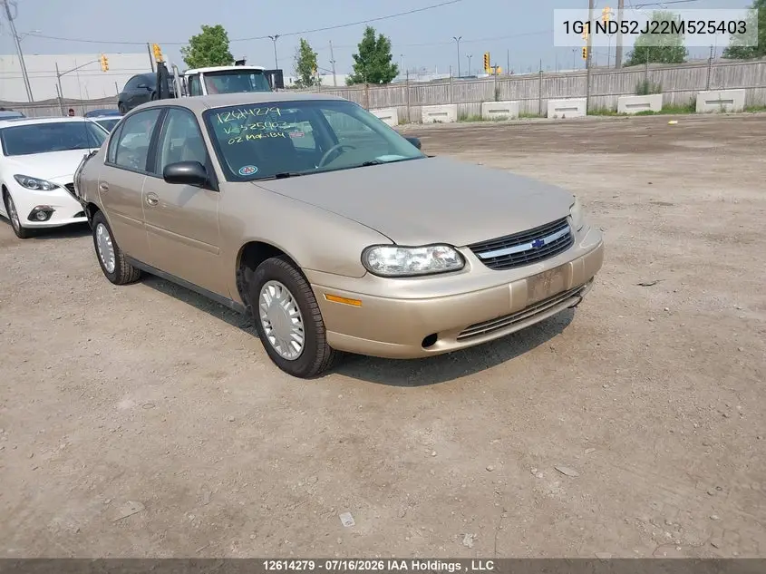 2002 Chevrolet Malibu VIN: 1G1ND52J22M525403 Lot: 12614279