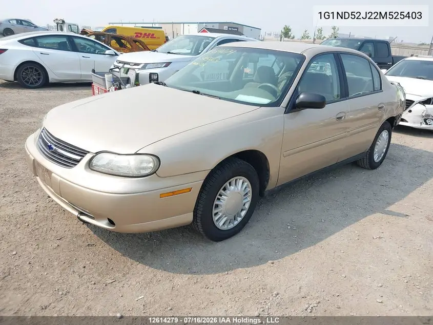 2002 Chevrolet Malibu VIN: 1G1ND52J22M525403 Lot: 12614279