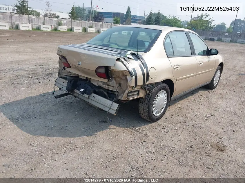 2002 Chevrolet Malibu VIN: 1G1ND52J22M525403 Lot: 12614279