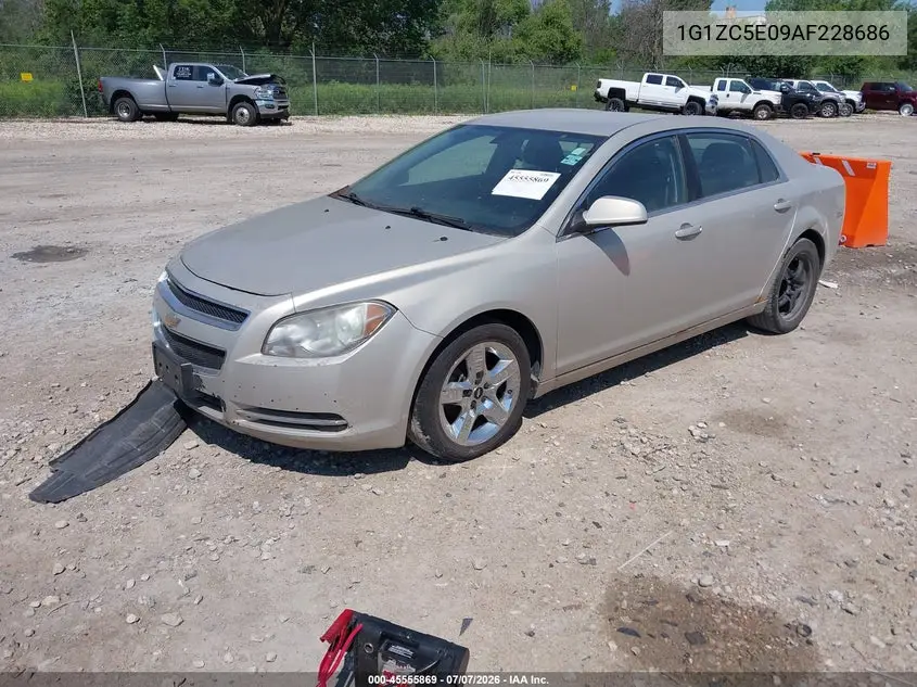 2010 Chevrolet Malibu Lt VIN: 1G1ZC5E09AF228686 Lot: 45555869
