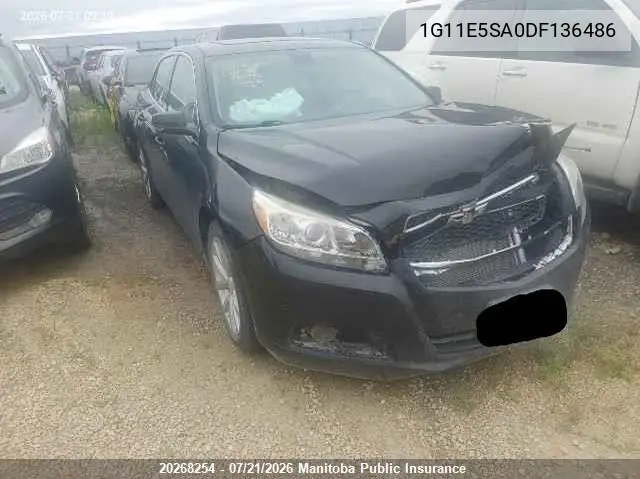 2013 Chevrolet Malibu Lt VIN: 1G11E5SA0DF136486 Lot: 20268254