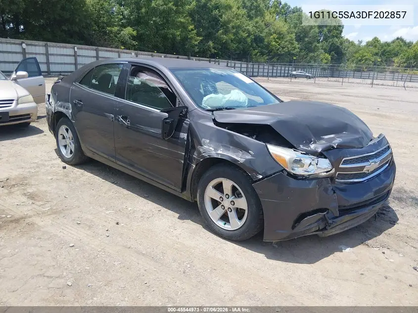 2013 Chevrolet Malibu 1Lt VIN: 1G11C5SA3DF202857 Lot: 45544973