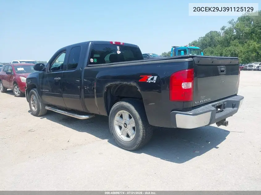 2009 Chevrolet Silverado 1500 Lt VIN: 2GCEK29J391125129 Lot: 45696774