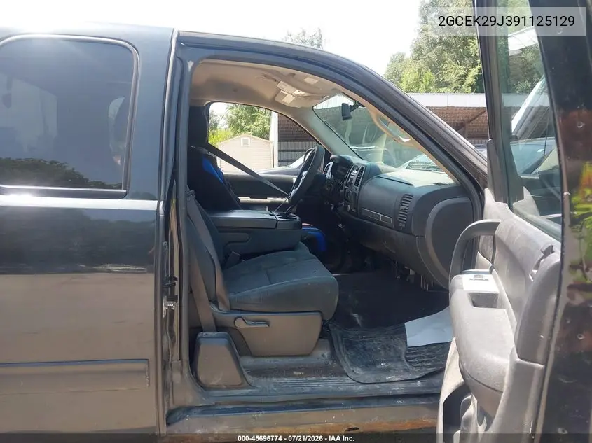 2009 Chevrolet Silverado 1500 Lt VIN: 2GCEK29J391125129 Lot: 45696774