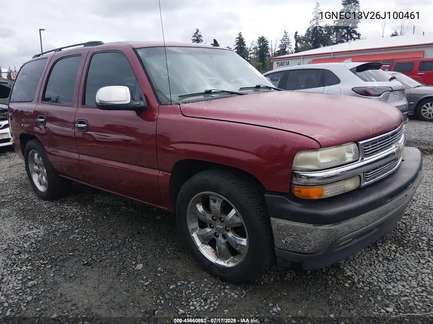 2006 Chevrolet Tahoe Ls VIN: 1GNEC13V26J100461 Lot: 45660862