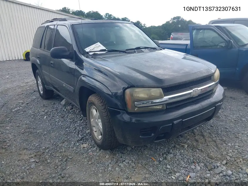 2003 Chevrolet Trailblazer Ls VIN: 1GNDT13S732307631 Lot: 45657319