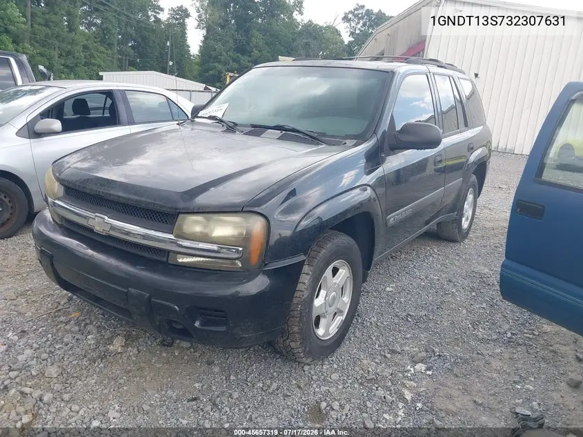2003 Chevrolet Trailblazer Ls VIN: 1GNDT13S732307631 Lot: 45657319