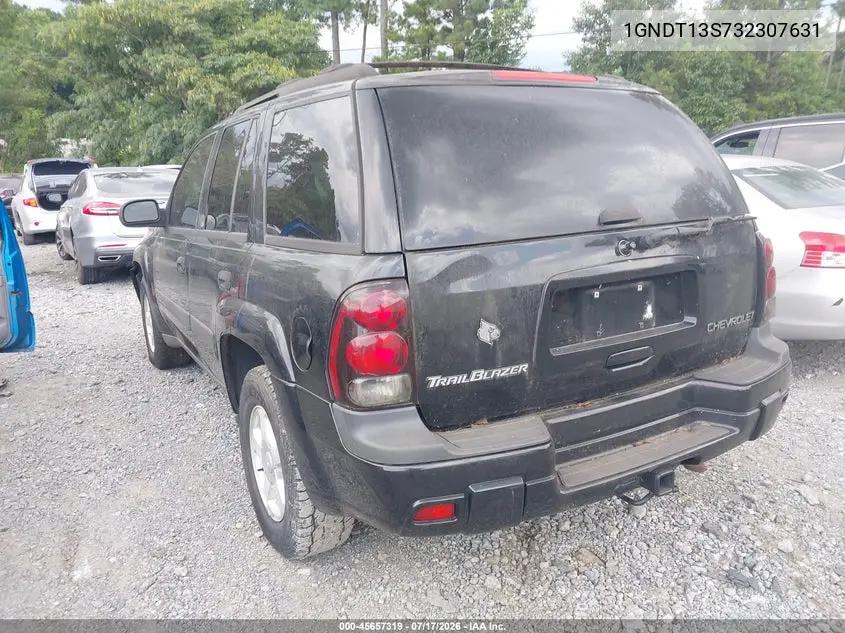 2003 Chevrolet Trailblazer Ls VIN: 1GNDT13S732307631 Lot: 45657319