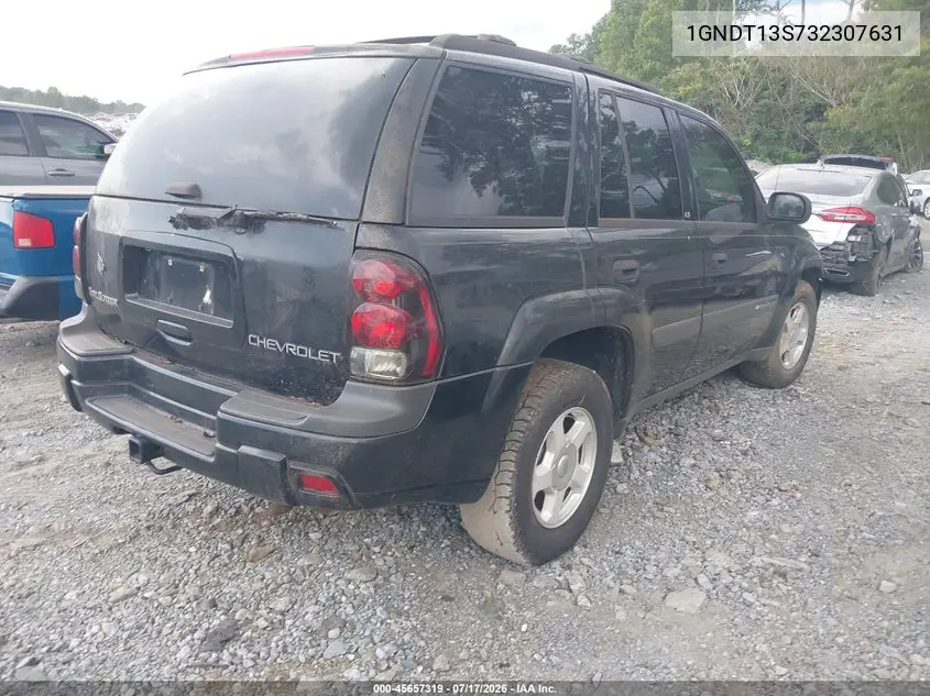 2003 Chevrolet Trailblazer Ls VIN: 1GNDT13S732307631 Lot: 45657319