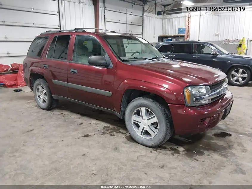 2005 Chevrolet Trailblazer Ls VIN: 1GNDT13S652308319 Lot: 45610510