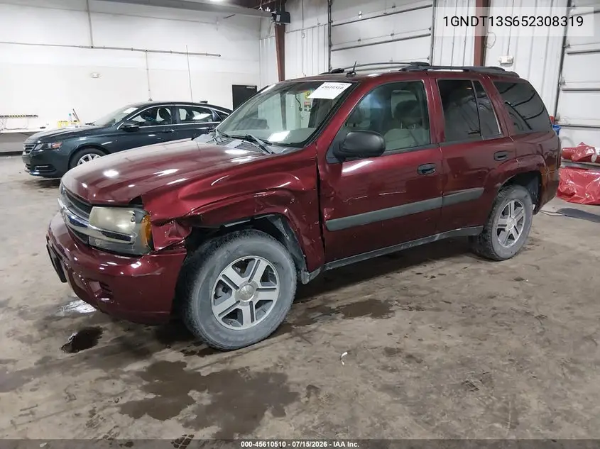 2005 Chevrolet Trailblazer Ls VIN: 1GNDT13S652308319 Lot: 45610510