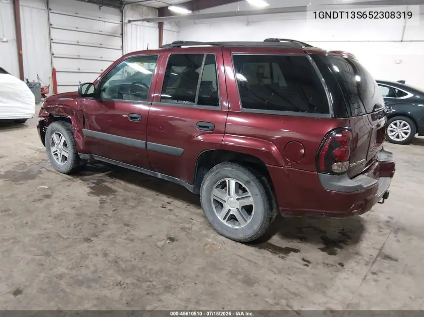 2005 Chevrolet Trailblazer Ls VIN: 1GNDT13S652308319 Lot: 45610510