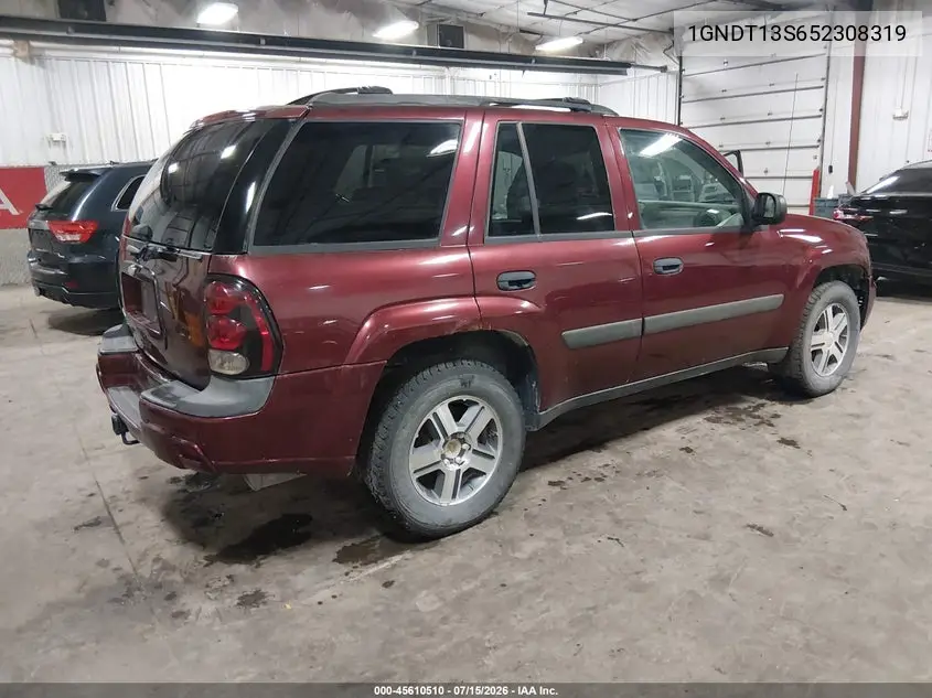 2005 Chevrolet Trailblazer Ls VIN: 1GNDT13S652308319 Lot: 45610510