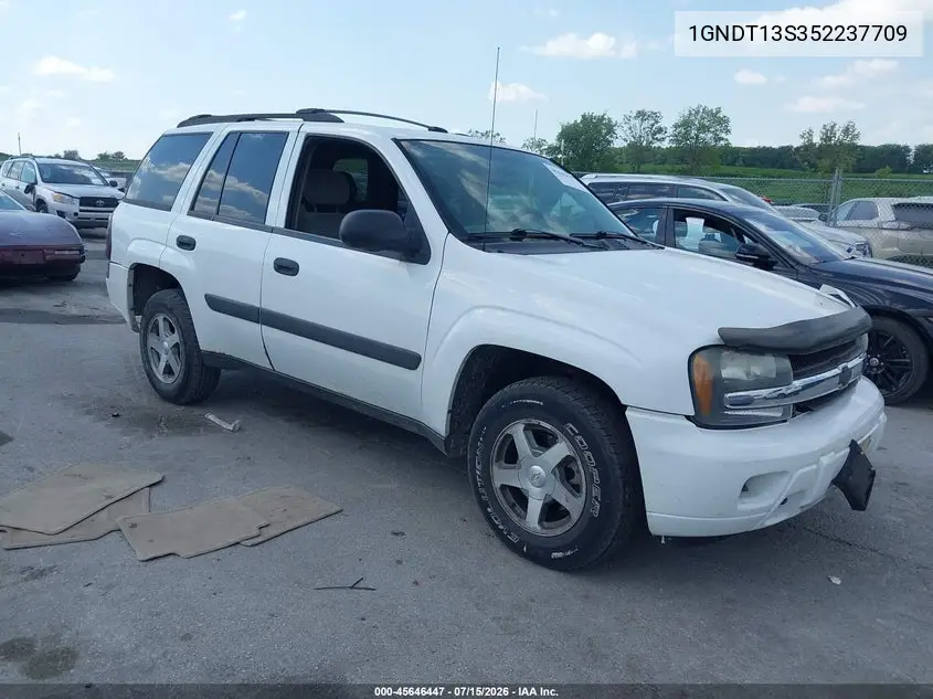 2005 Chevrolet Trailblazer Ls VIN: 1GNDT13S352237709 Lot: 45646447