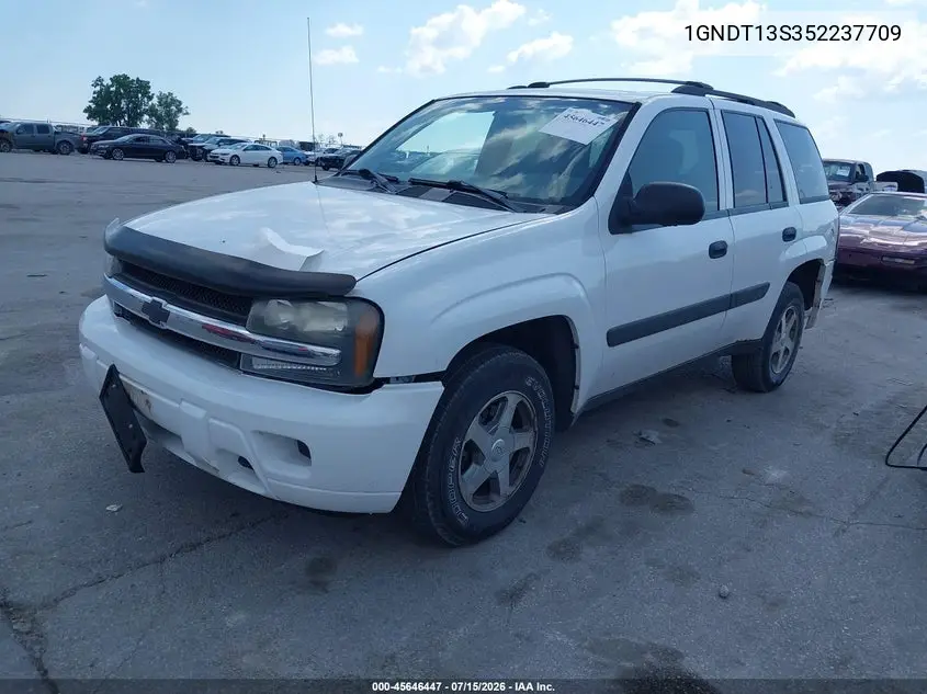 2005 Chevrolet Trailblazer Ls VIN: 1GNDT13S352237709 Lot: 45646447