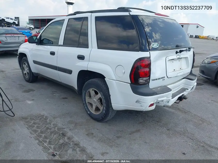 2005 Chevrolet Trailblazer Ls VIN: 1GNDT13S352237709 Lot: 45646447