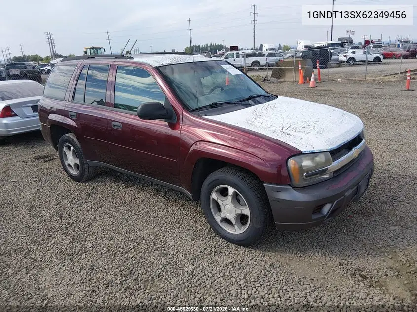 2006 Chevrolet Trailblazer Ls VIN: 1GNDT13SX62349456 Lot: 45629630