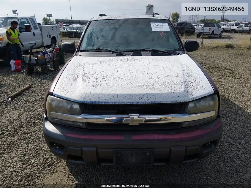 2006 Chevrolet Trailblazer Ls VIN: 1GNDT13SX62349456 Lot: 45629630