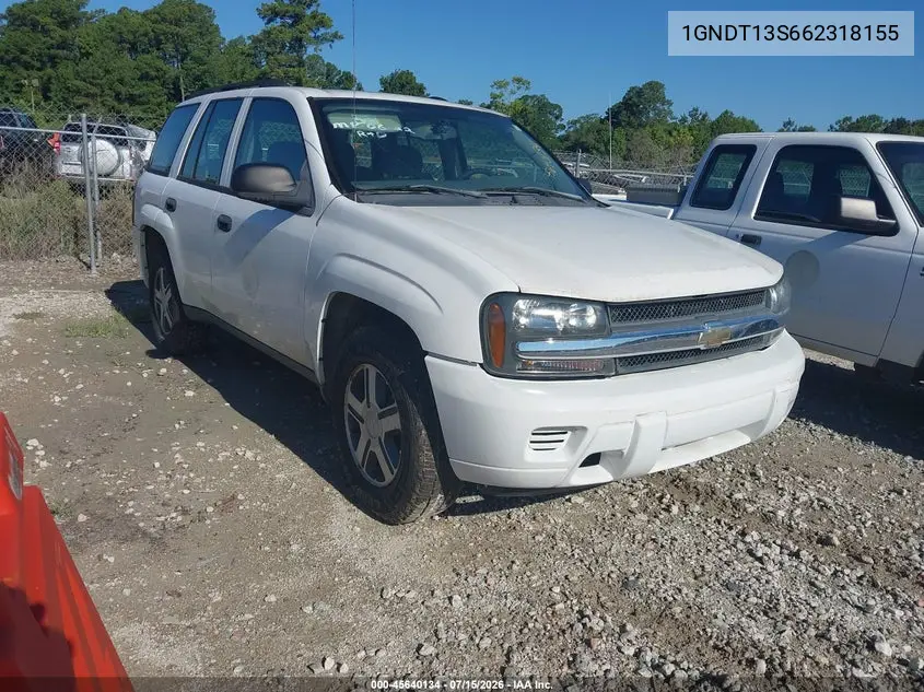 2006 Chevrolet Trailblazer Ls VIN: 1GNDT13S662318155 Lot: 45640134