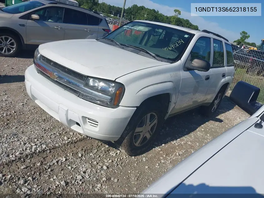 2006 Chevrolet Trailblazer Ls VIN: 1GNDT13S662318155 Lot: 45640134