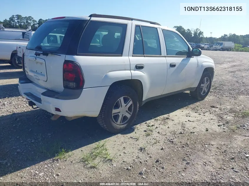 2006 Chevrolet Trailblazer Ls VIN: 1GNDT13S662318155 Lot: 45640134