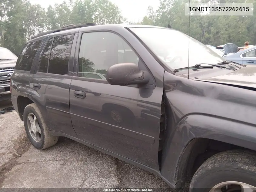 2007 Chevrolet Trailblazer Ls VIN: 1GNDT13S572262615 Lot: 45657327