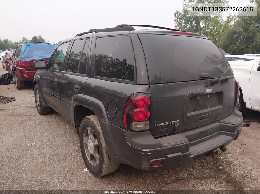 2007 Chevrolet Trailblazer Ls VIN: 1GNDT13S572262615 Lot: 45657327