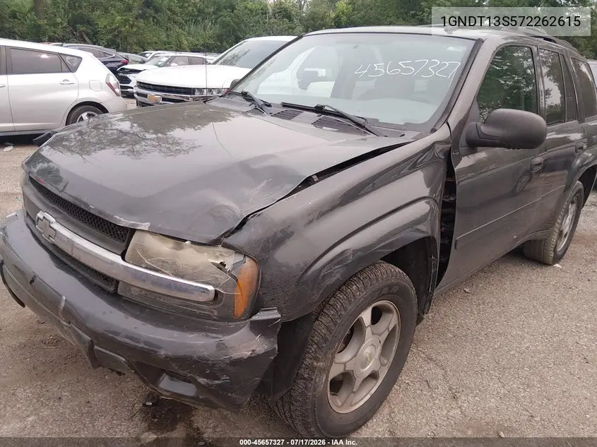 2007 Chevrolet Trailblazer Ls VIN: 1GNDT13S572262615 Lot: 45657327