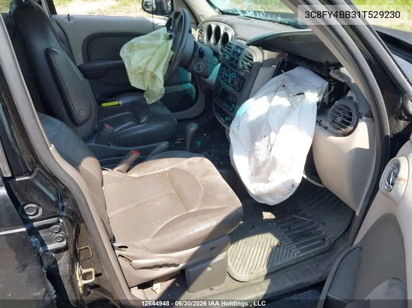 2001 Chrysler Pt Cruiser VIN: 3C8FY4BB31T529230 Lot: 12644948