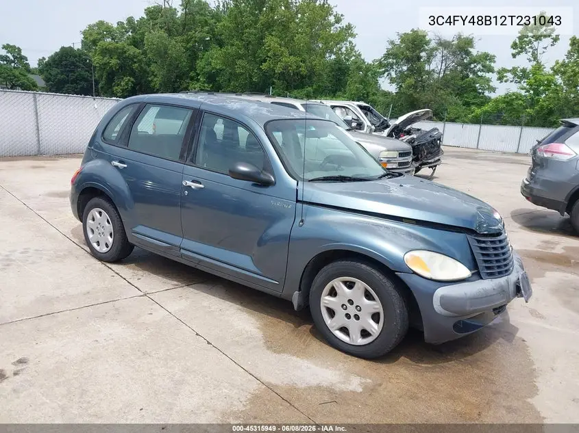 2002 Chrysler Pt Cruiser VIN: 3C4FY48B12T231043 Lot: 45315949