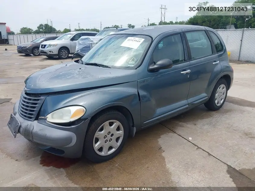 2002 Chrysler Pt Cruiser VIN: 3C4FY48B12T231043 Lot: 45315949