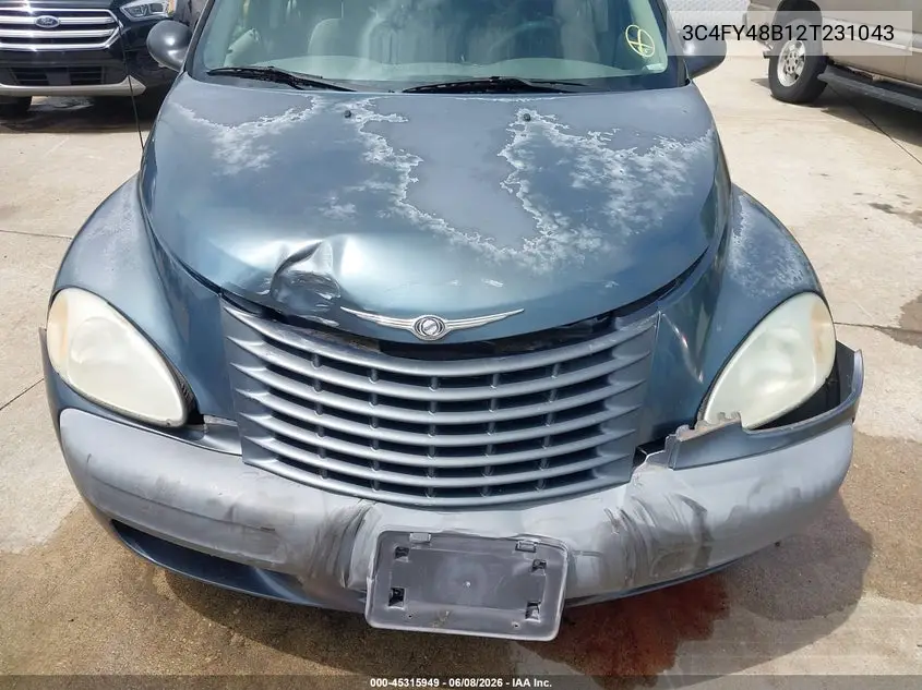 2002 Chrysler Pt Cruiser VIN: 3C4FY48B12T231043 Lot: 45315949
