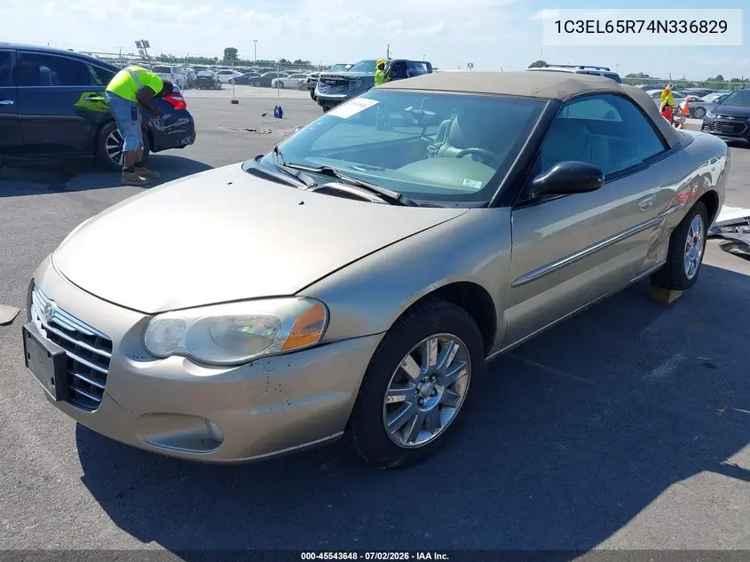 2004 Chrysler Sebring Limited VIN: 1C3EL65R74N336829 Lot: 45543648